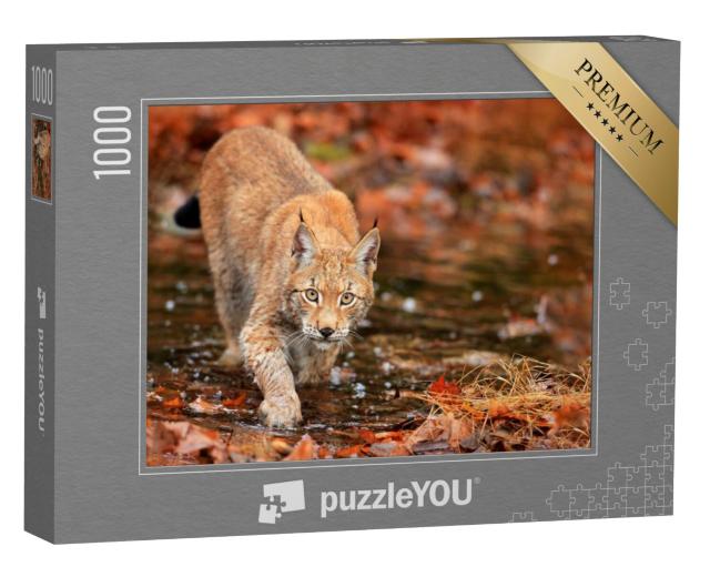 Puzzel 1000 stukjes „Lynx op jacht in het herfstbos“