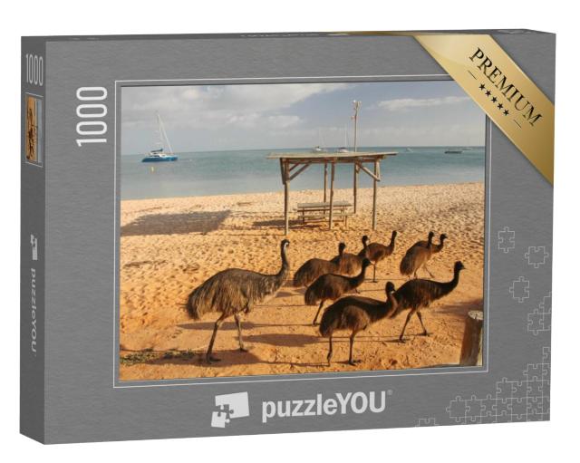 Puzzel 1000 stukjes „Emoes op het strand in West-Australië“