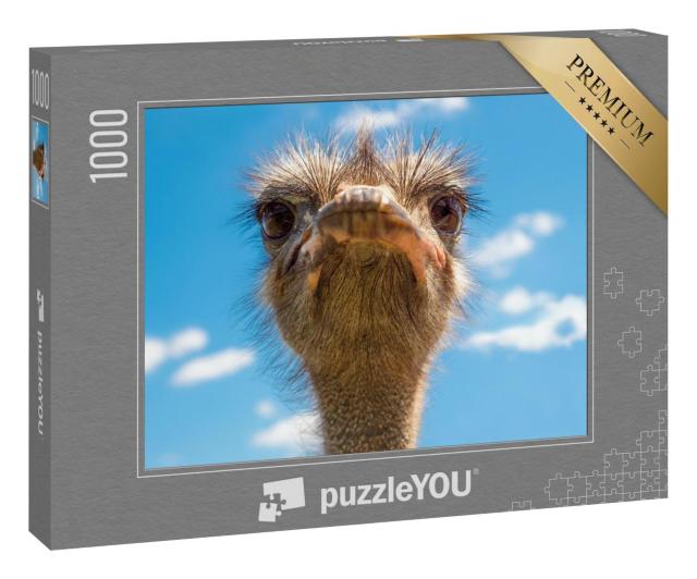 Puzzle 1000 Teile „Porträt von Straußenkopf, Afrikanischer Strauß schaut in die Kamera“