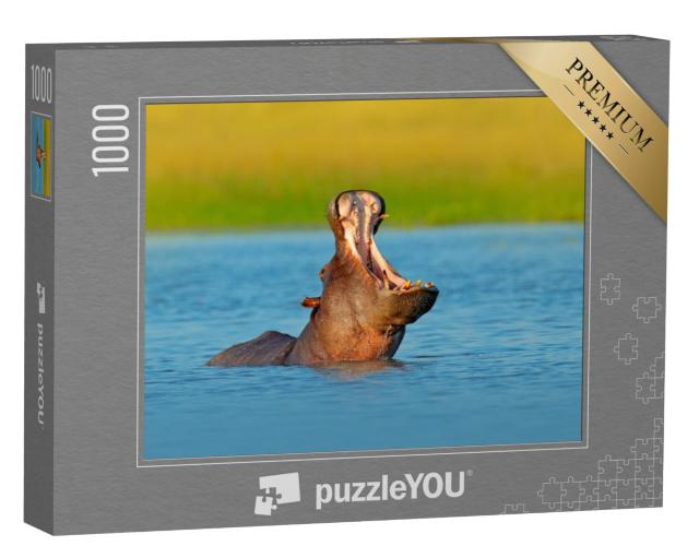 Puzzel 1000 stukjes „Nijlpaard met open snuit in water, Botswana, Afrika“