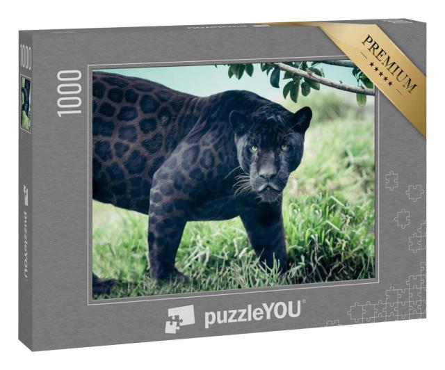 Puzzle 1000 Teile „Schwarzer Panther, Wildkatze mit starkem Blick“