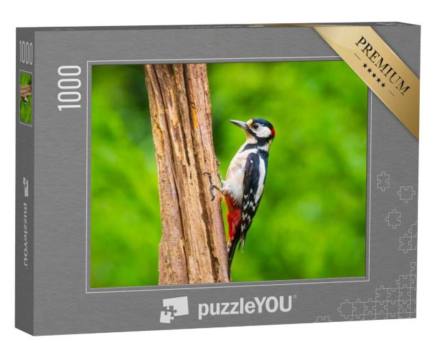 Puzzel 1000 stukjes „Close-up van een grote bonte specht“