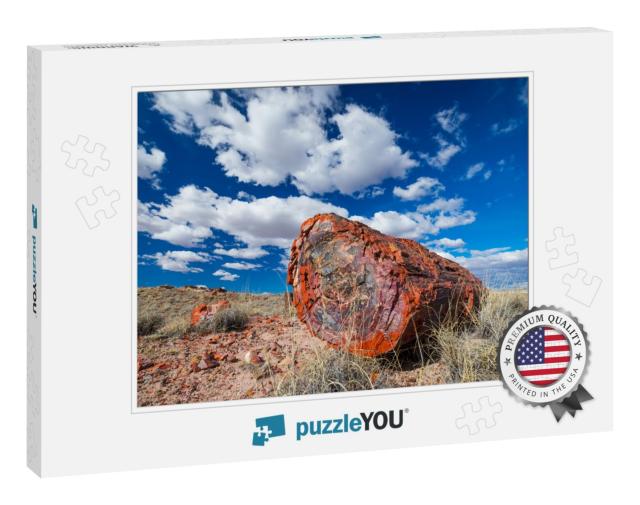 Petrified Wood At the Badlands of the Petrified Forest Na... Jigsaw Puzzle