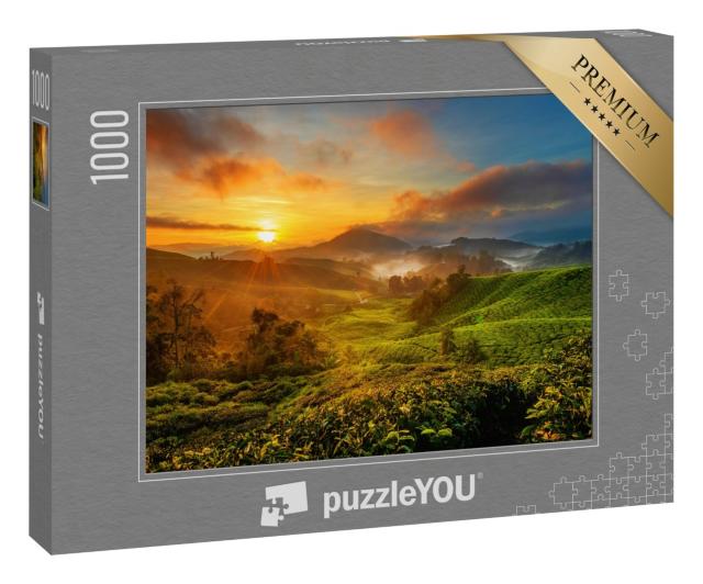 Puzzle 1000 Teile „Sonnenaufgang über einer Teeplantage  im Cameron Highland, Malaysia“