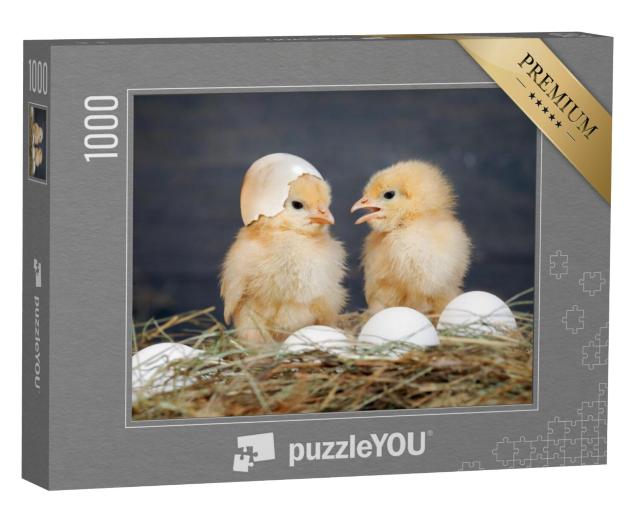 Puzzel 1000 stukjes „Pasgeboren kuikens“