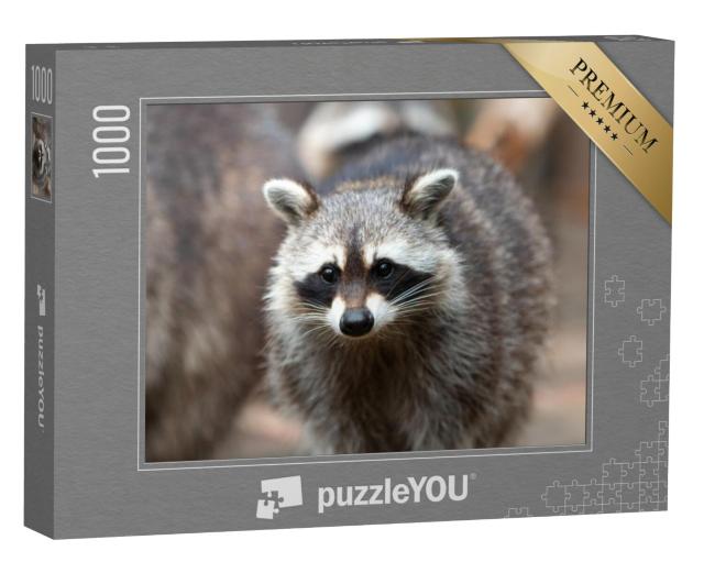 Puzzel 1000 stukjes „Noord-Amerikaanse wasbeer“