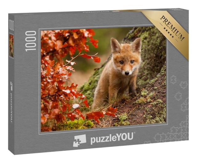Puzzle 1000 Teile „Neugieriges Fuchsjunges“