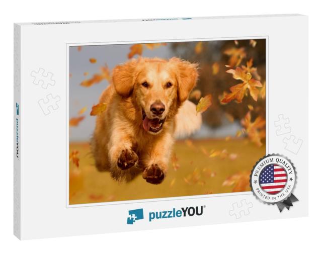 Dog, Golden Retriever Jumping Through Autumn Leaves in Au... Jigsaw Puzzle