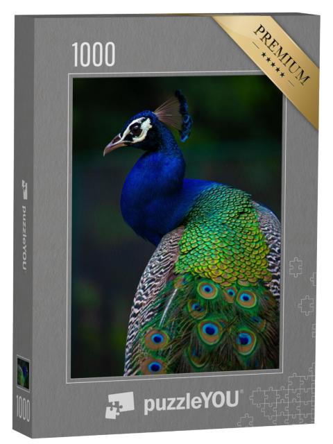 Puzzel 1000 stukjes „Indische pauw“