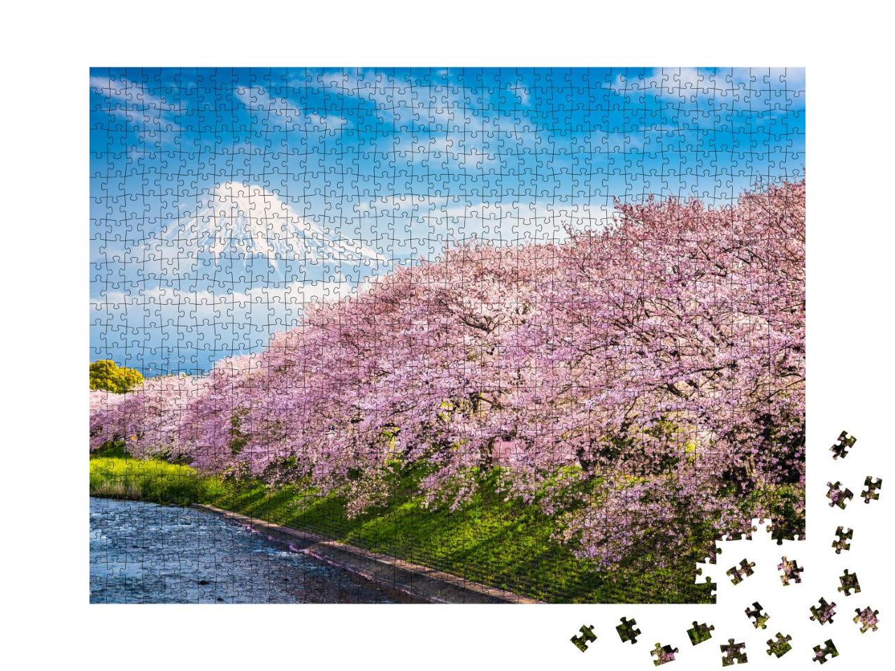 Puzzle 1000 Teile „Berg Fuji, im Vordergrund Sakura, die japanische Kirschblüte“