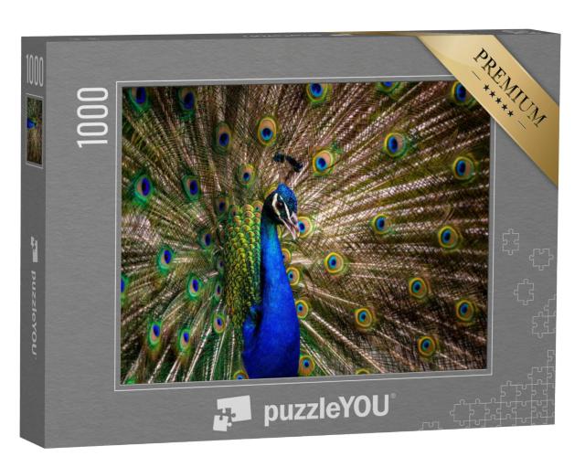 Puzzel 1000 stukjes „Pauwenstaart“