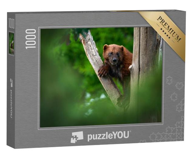 Puzzel 1000 stukjes „Een veelvraat op een boomstam in het bos“