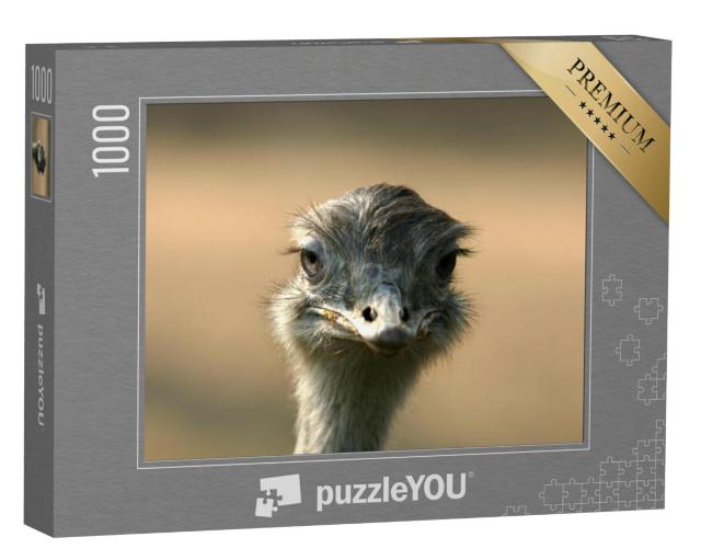 Puzzel 1000 stukjes „Portret van de struisvogelkop“