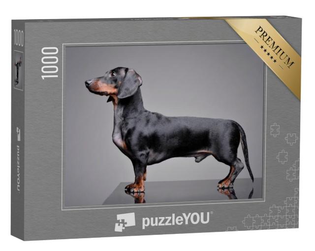 Puzzel 1000 stukjes „Schattige teckel“