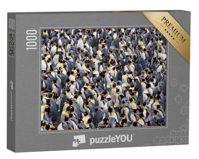 Puzzel 1000 stukjes „Koningspinguïn kolonie“