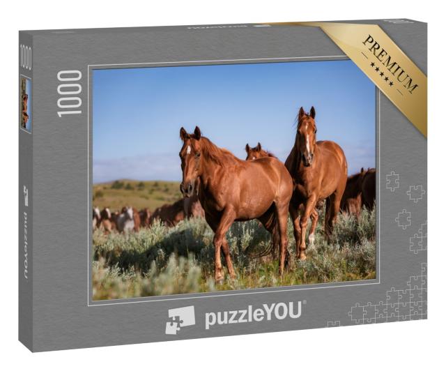 Puzzle „Herde amerikanischer Quarter Horse Ranch Pferde, Montana“