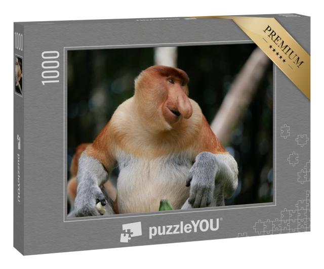Puzzle 1000 Teile „Ausgewachsener männlicher Proboscis-Affe oder Langnasenaffe“