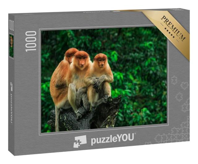 Puzzle 1000 Teile „Proboscis-Affen vor Bäumen, Borneo, Malaysia“