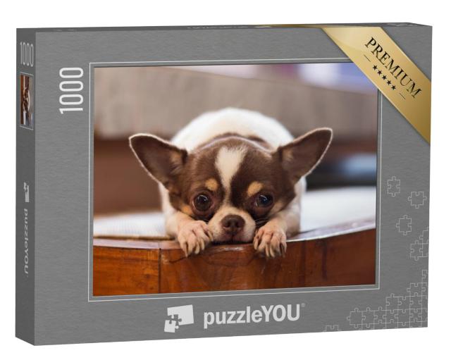 Puzzel 1000 stukjes „Eenzame hond“