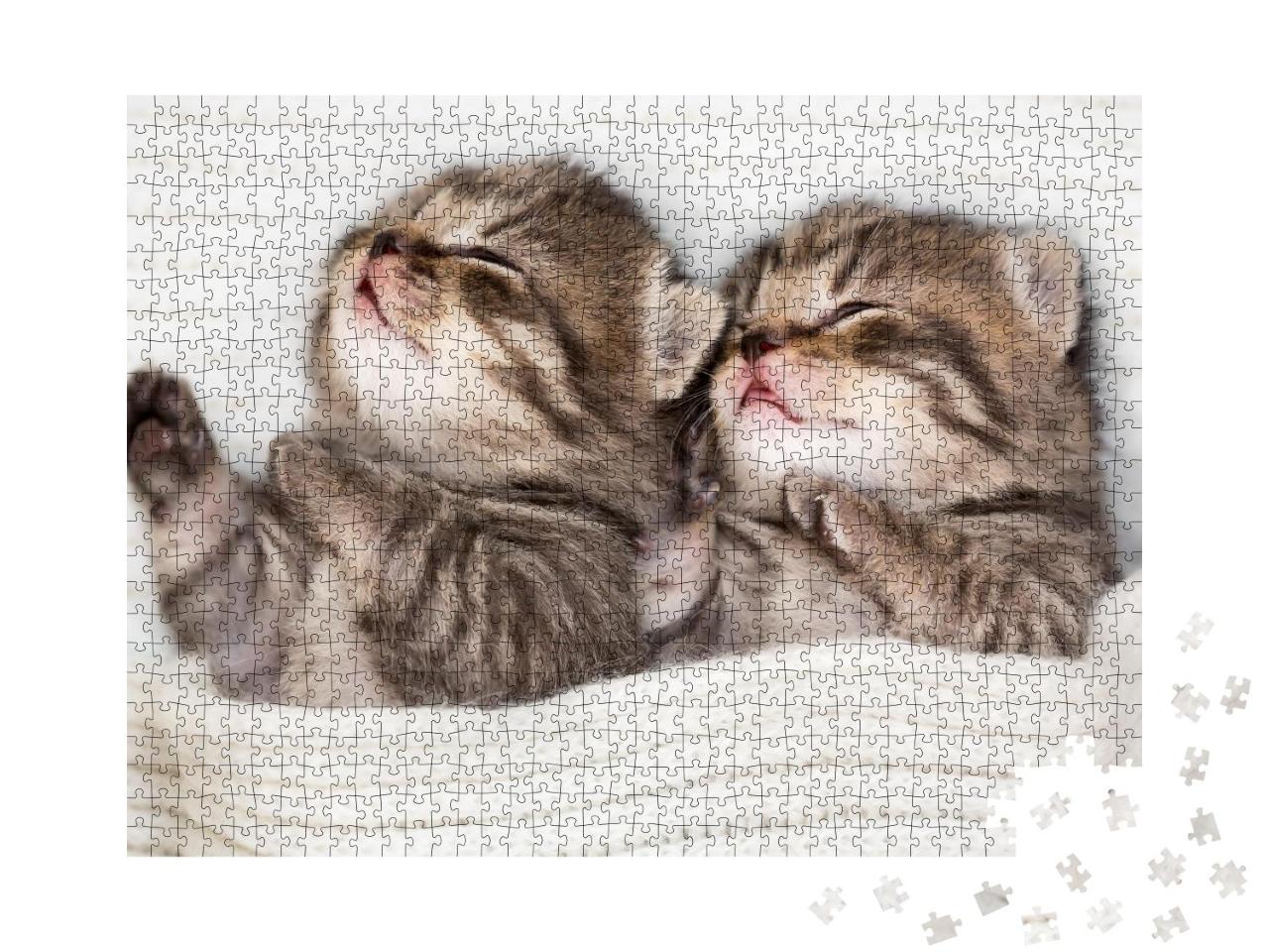 Puzzle 1000 Teile „Zwei schlafende Babykätzchen“
