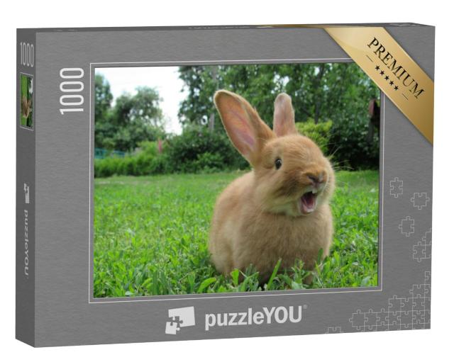 Puzzel 1000 stukjes „Gapend konijntje“