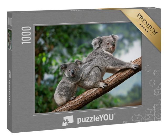 Puzzle 1000 Teile „Koala-Weibchen mit Jungtier“