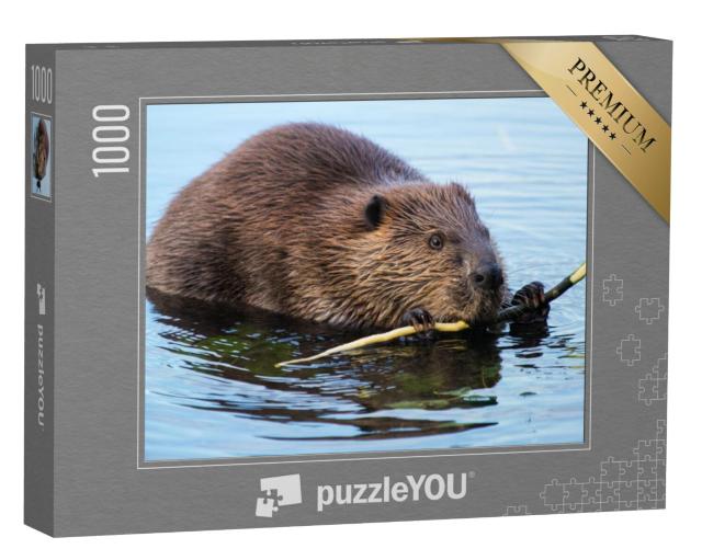 Puzzel 1000 stukjes „Bever knabbelt aan schors in de schemering“