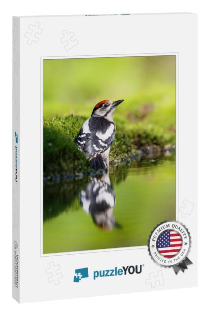 Great Spotted Woodpecker Dendrocopos Major Sitting on the... Jigsaw Puzzle