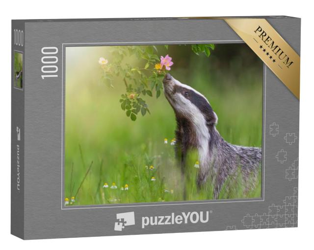 Puzzel 1000 stukjes „Europese das ruikt wilde rozen in bloei“