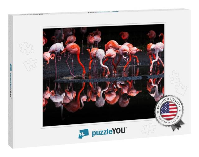 Flamingos or Flamingoes Are a Type of Wading Bird in the... Jigsaw Puzzle