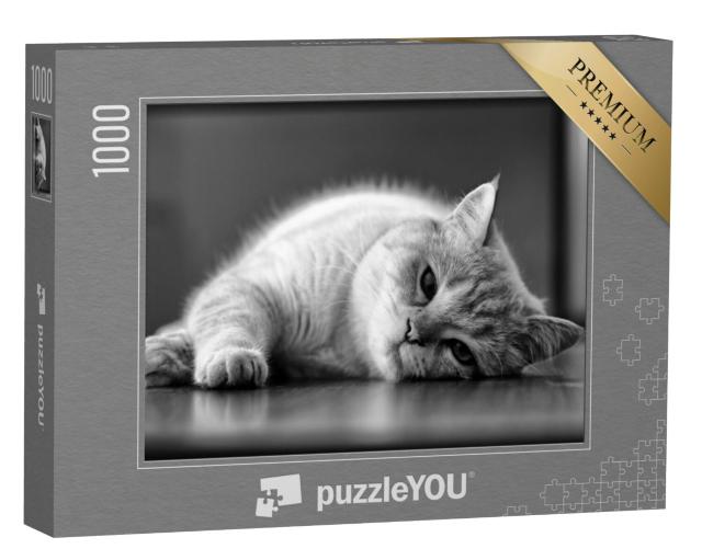 Puzzel 1000 stukjes „Slaperige kat, zwart en wit“