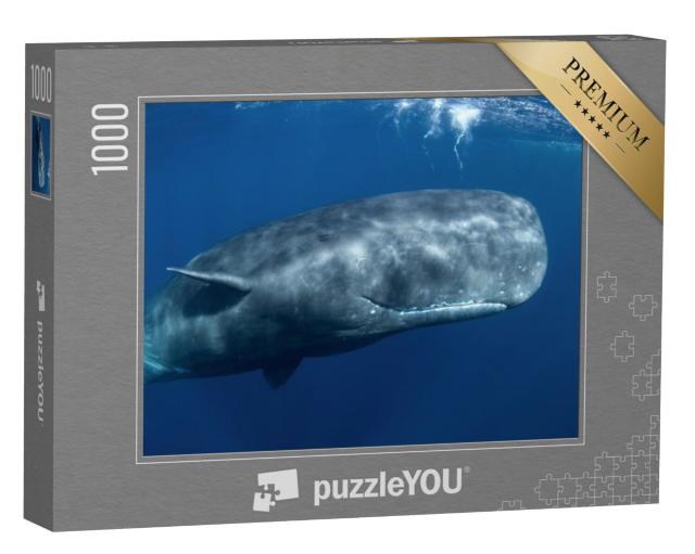 Puzzel 1000 stukjes „Potvis, Physeter macrocephalus, in de Indische Oceaan“