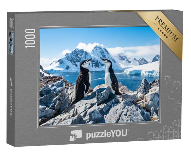 Puzzel 1000 stukjes „Kinbandpinguïn, Antarctica, januari 2019“