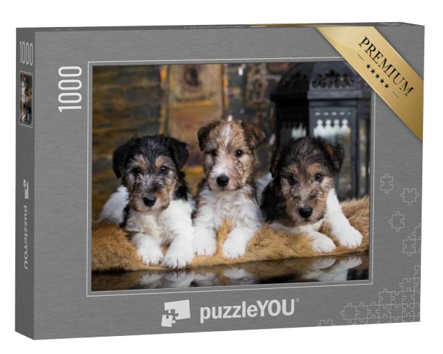 Puzzel 1000 stukjes „Schattige fox terrier puppies op hun knusse deken“