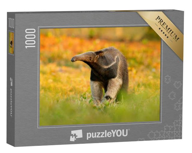 Puzzel 1000 stukjes „Miereneter“