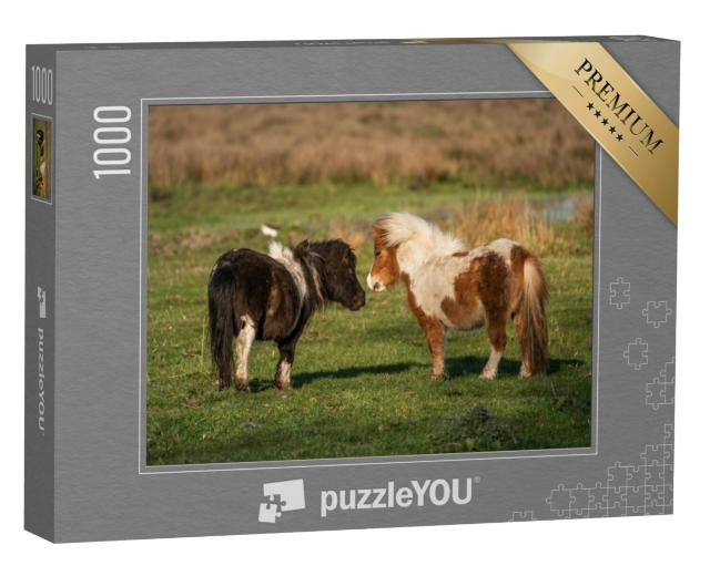 Puzzel 1000 stukjes „Shetlandpony's op de weiden van Limburg, Nederland“