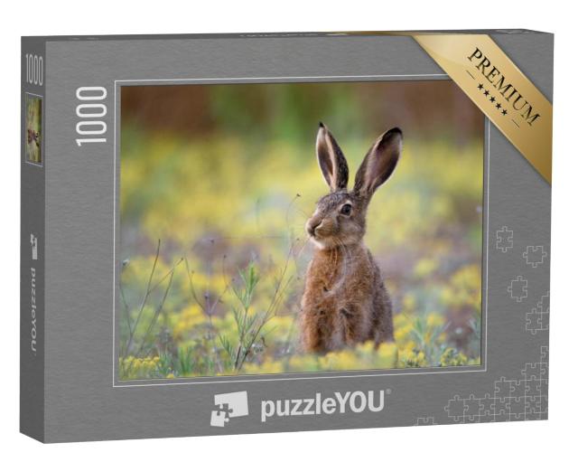 Puzzel 1000 stukjes „Europese haas in het gras“