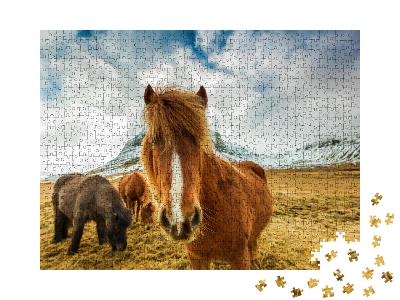 Puzzle 1000 Teile „Pferde in den Bergen von Island“