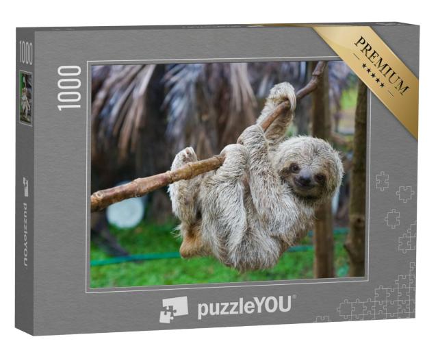 Puzzel 1000 stukjes „Een luiaard“