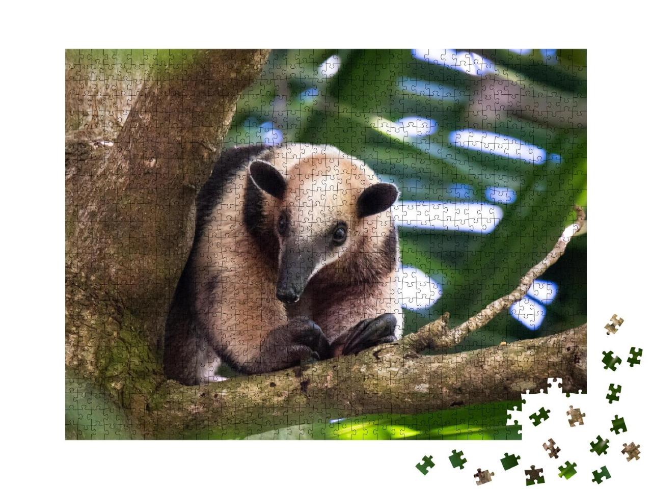 Puzzle 1000 Teile „Baumameisenbär, Costa Rica“