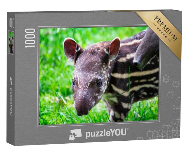 Puzzel 1000 stukjes „Negen dagen oude tapir in het groene gras“