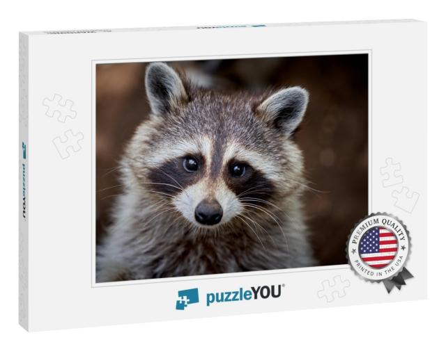 Closeup Portrait of a Raccoon Washing Too Cute... Jigsaw Puzzle