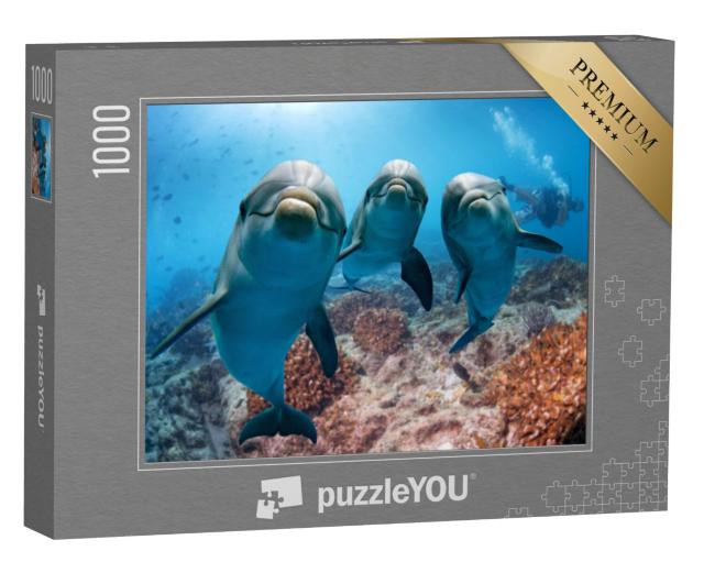 Puzzel 1000 stukjes „Portret: Dolfijn“