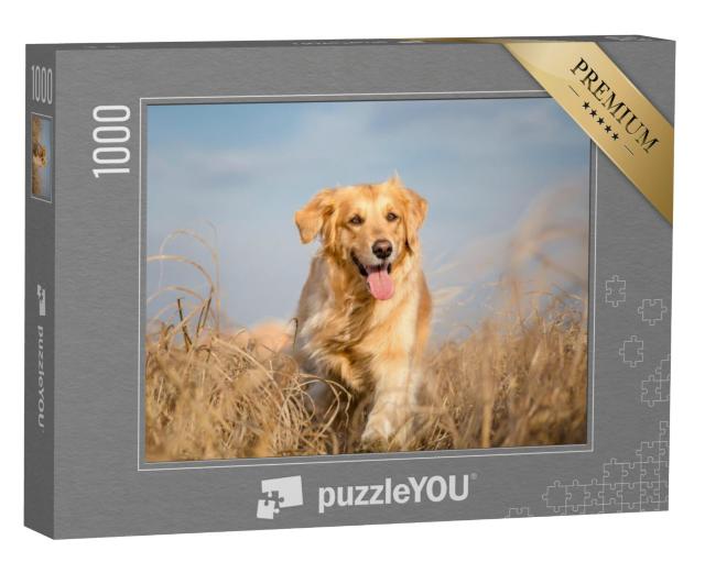 Puzzel 1000 stukjes „Golden Retriever in het wild“