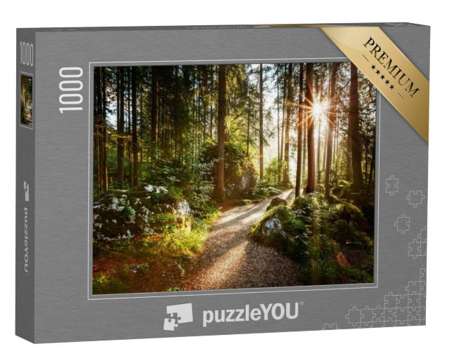 Puzzel 1000 stukjes „Landschap en pad door het bos in de ochtendzon“