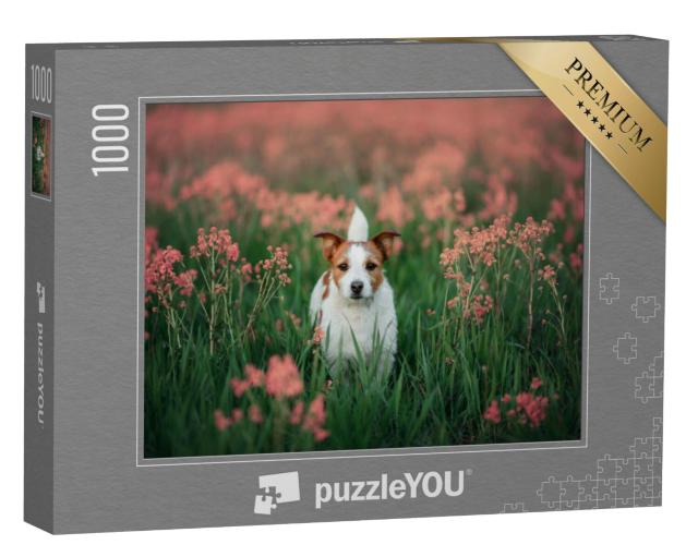 Puzzel 1000 stukjes „Nieuwsgierige Jack Russell Terrier in een bloemenweide“