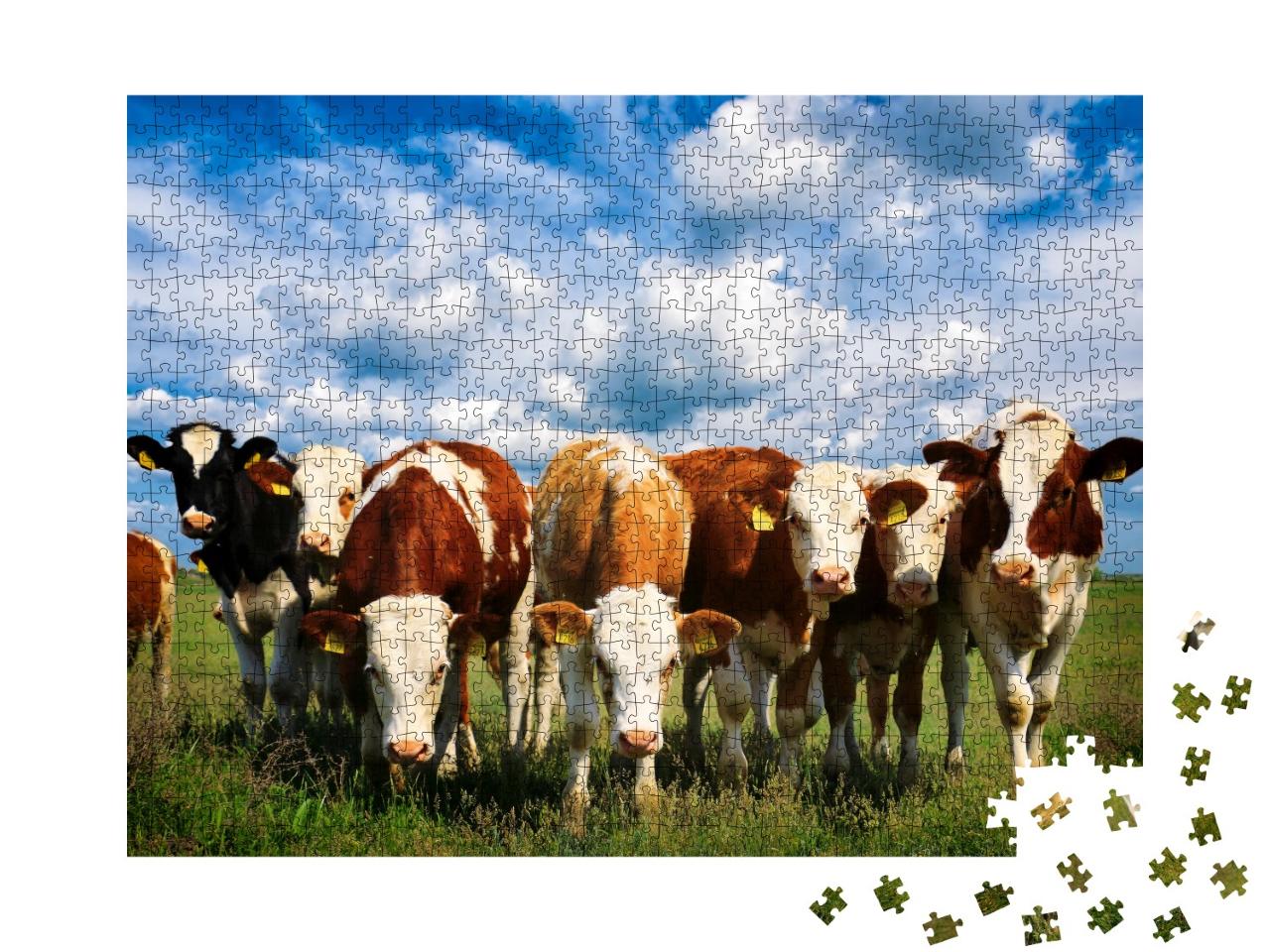 Puzzle 1000 Teile „Kühe auf einer grünen Sommerwiese“
