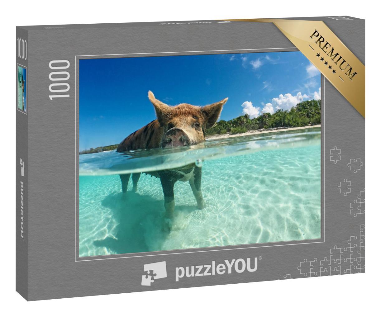 Puzzle 1000 Teile „Wasserbegeistertes Wildschwein auf den Bahamas, Karibik“