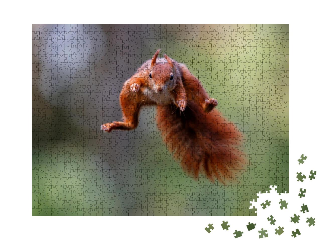 Puzzle 1000 Teile „Rotes Eichhörnchen springt durch den Wald“