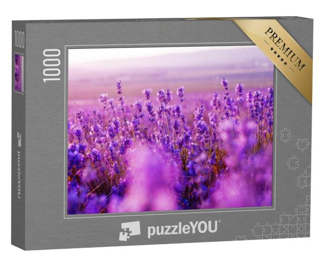 Puzzel 1000 stukjes „Prachtig lavendelveld in de zomer“